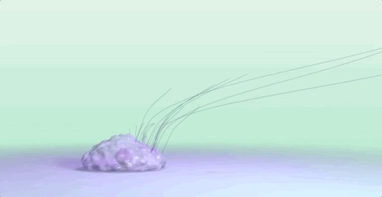 揭秘伤口如何愈合的,伤口是如何愈合的告诉小朋友