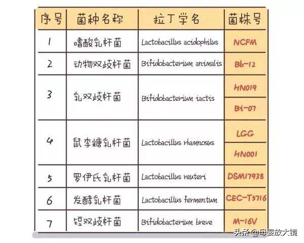 益生菌千万别这么吃,益生菌别乱吃会长胖吗