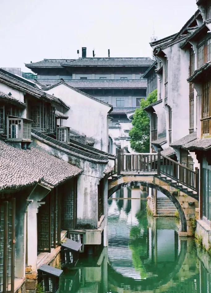 嘉兴粽子为什么这么出名,浙江嘉兴最出名的粽子是