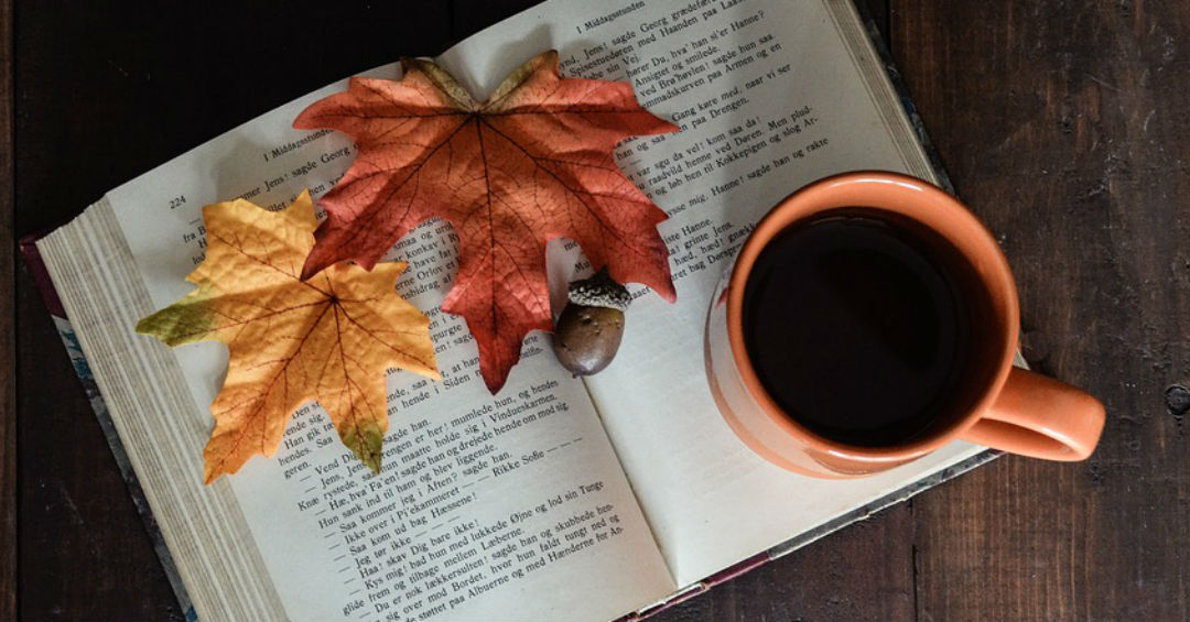 小说：男神拒绝我后跟别人订婚，他未婚妻说漏嘴我发现掉他俩*局骗**