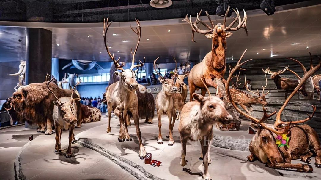 淮海路和南京西路哪个繁华,南京西路vs陆家嘴