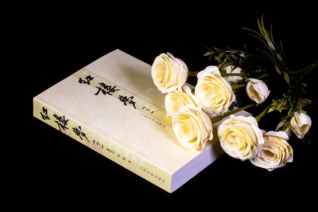 雪为肌肤,雪为肌肤花为肠全诗