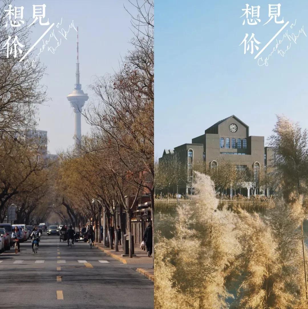 南开大学滨海学院天津排名,天津曾经的滨海学院