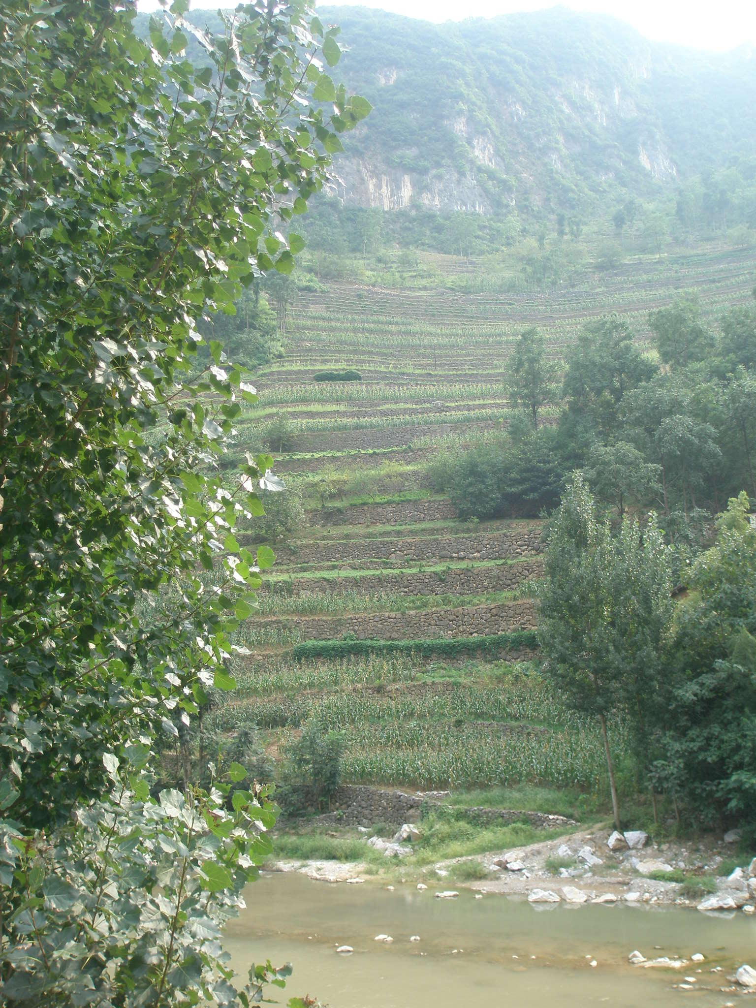 秦楚古道一日游攻略,秦楚古道自驾游攻略