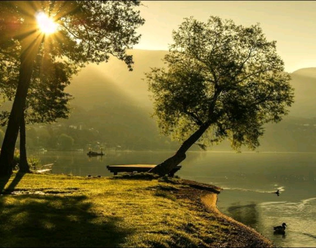 白色t恤污迹怎么去除,白t恤上的油渍怎么去除