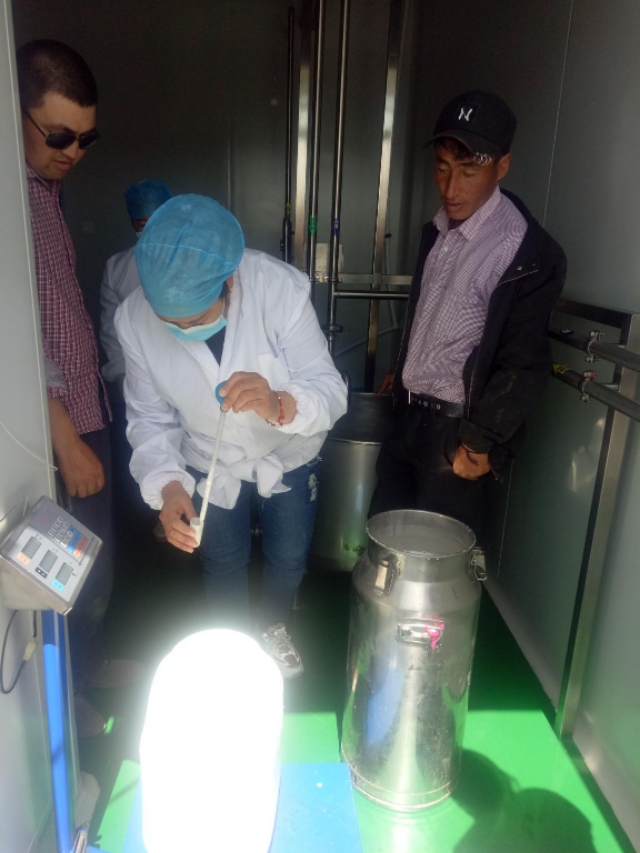 青河驴产业拓宽增收路,青河驴产业