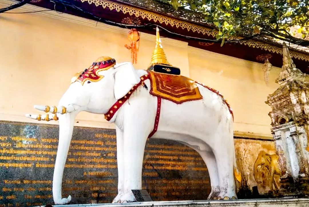 泰国从小就要去寺庙,泰国5泰铢硬币版别