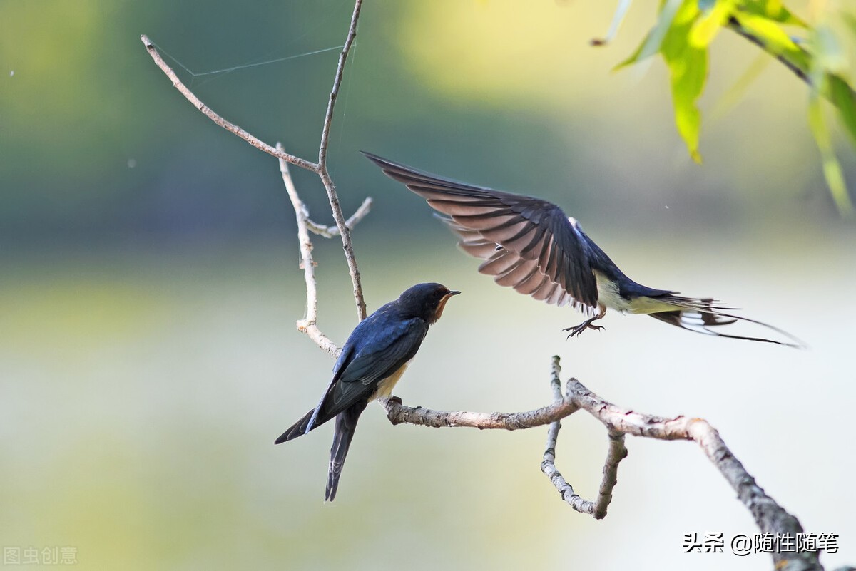 加强对员工的关怀,新员工关怀的措施