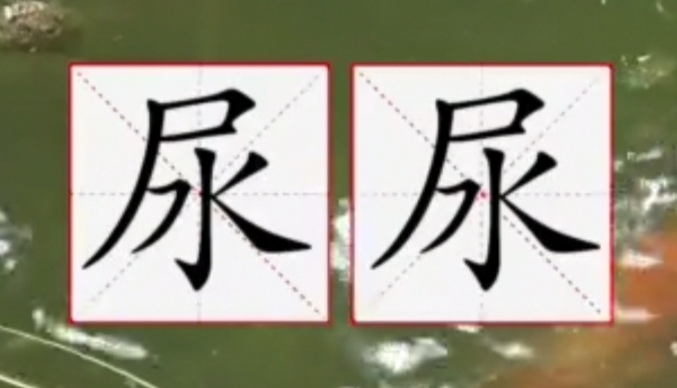 这么多年，原来“尿”一直都念错了，今天就来触及你的知识盲区