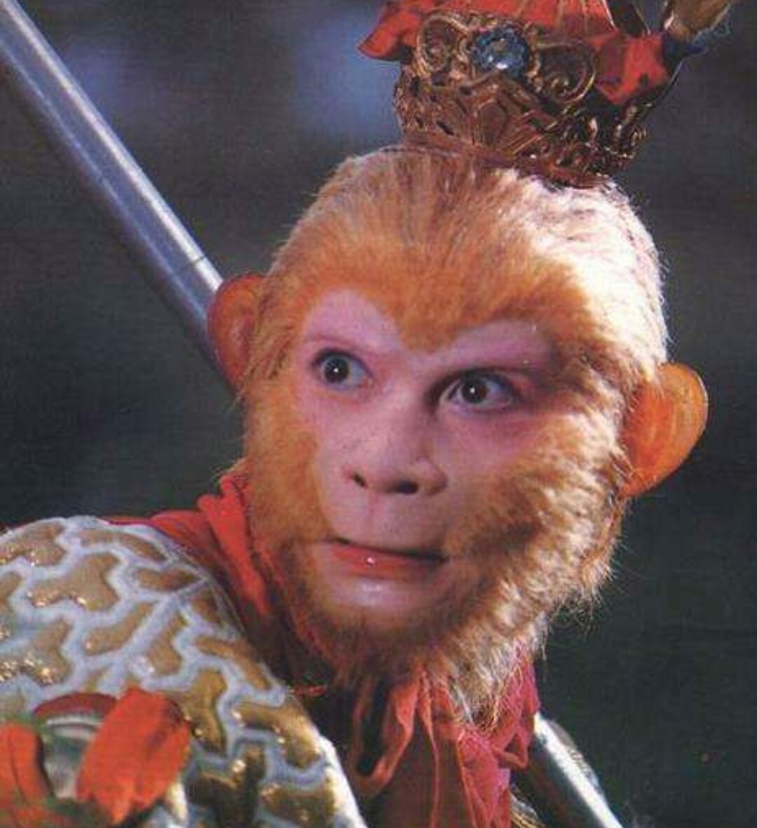 文体两开花小说,文体两开花是哪部电影