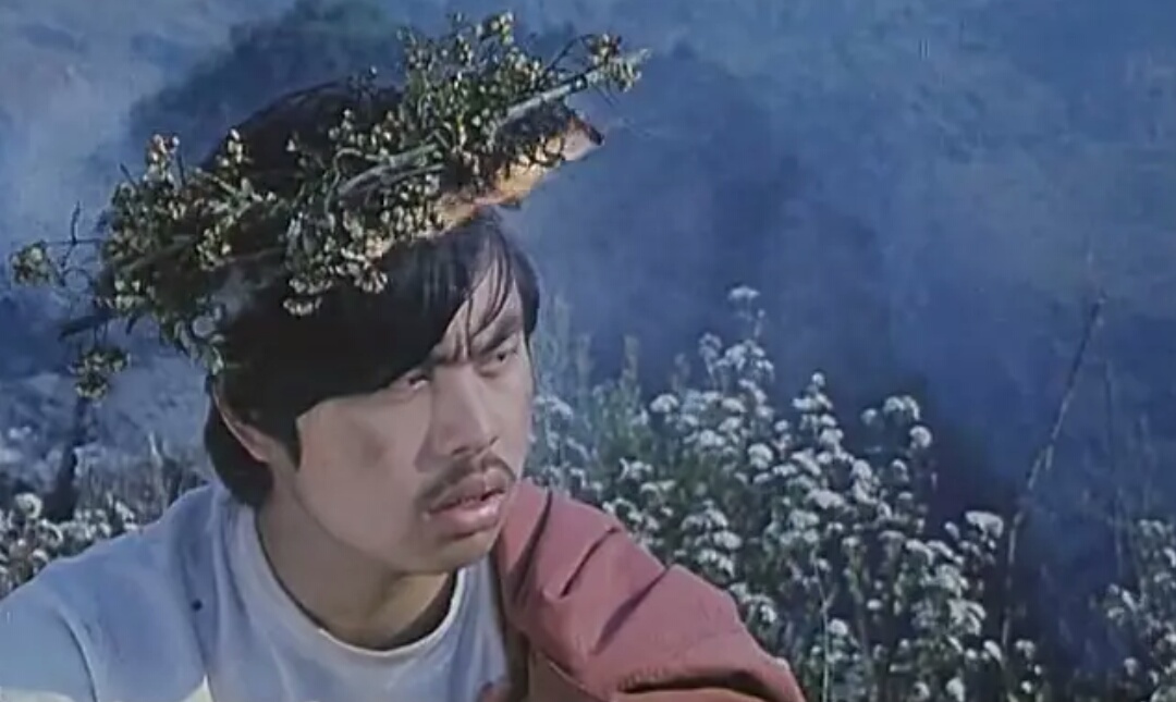 恐怖片国产经典有哪些,内地有哪些优秀恐怖片