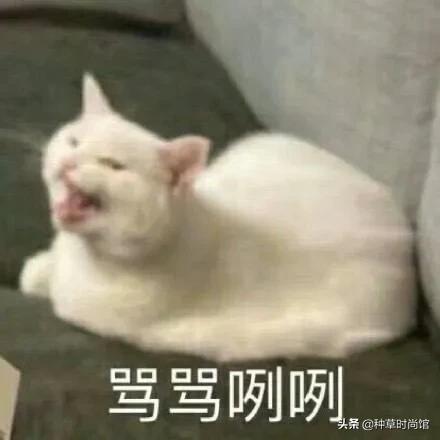 你的洗面奶在黑榜上吗,会烂脸的洗面奶黑名单