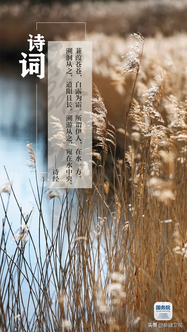 白露|“露凝而白也”，仲秋时节开始了