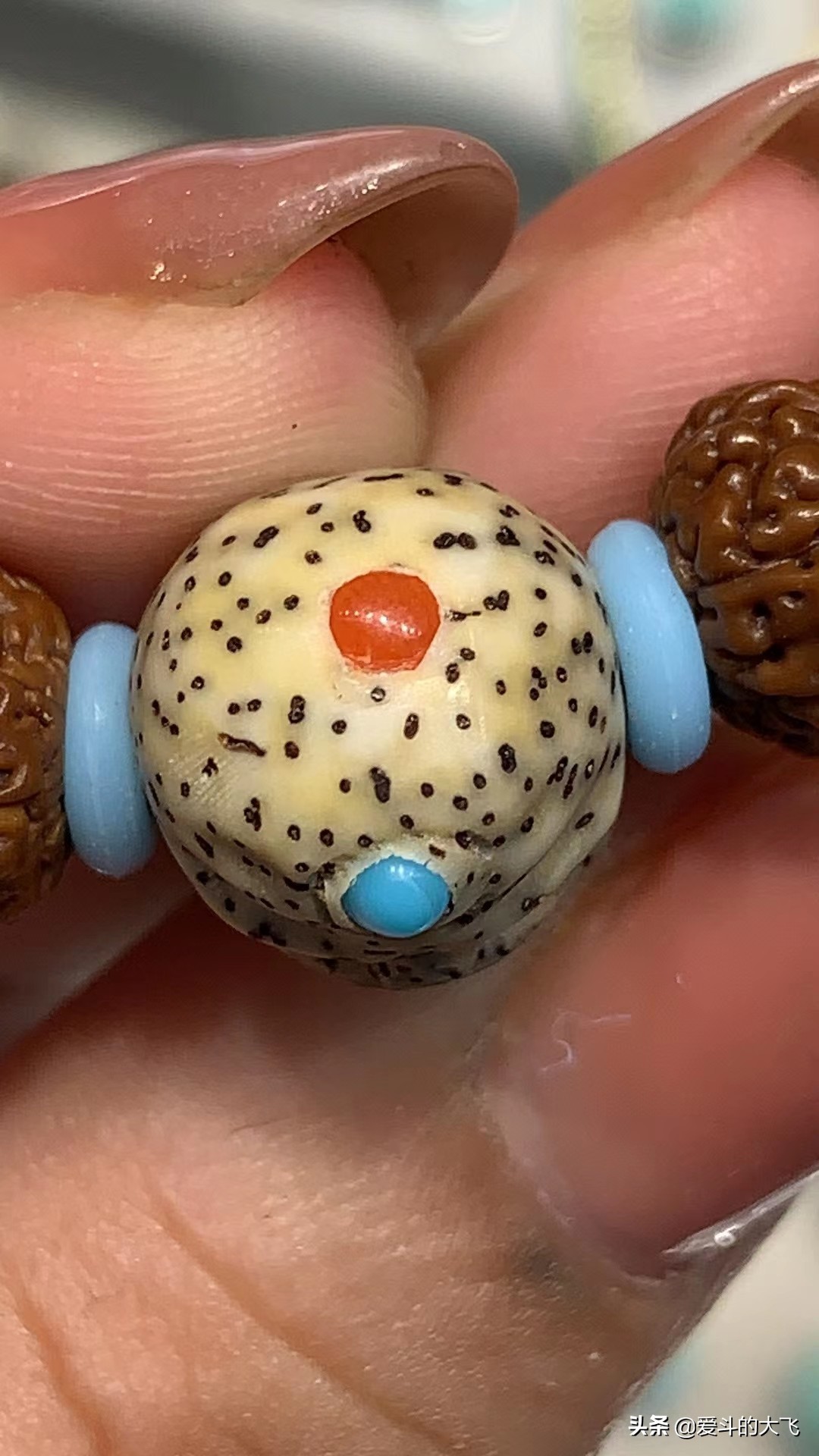 小金刚定制搭配,客户专属定制