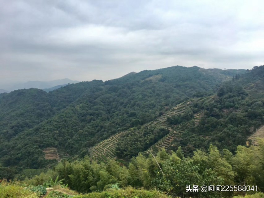 假日山村游玩,假日凤凰山旅游攻略