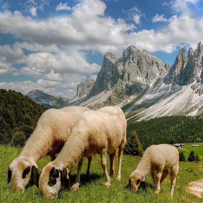 好看的针织衫春季,夏季针织款式大全