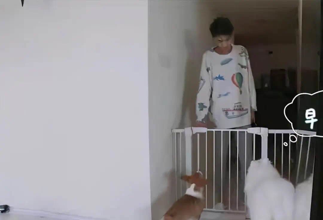 岳云鹏郭麒麟德云一哥组合,岳云鹏郭麒麟无与伦比做客完整版