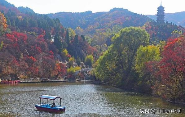 济南和青岛综合实力哪个强,济南青岛城区比较谁更强