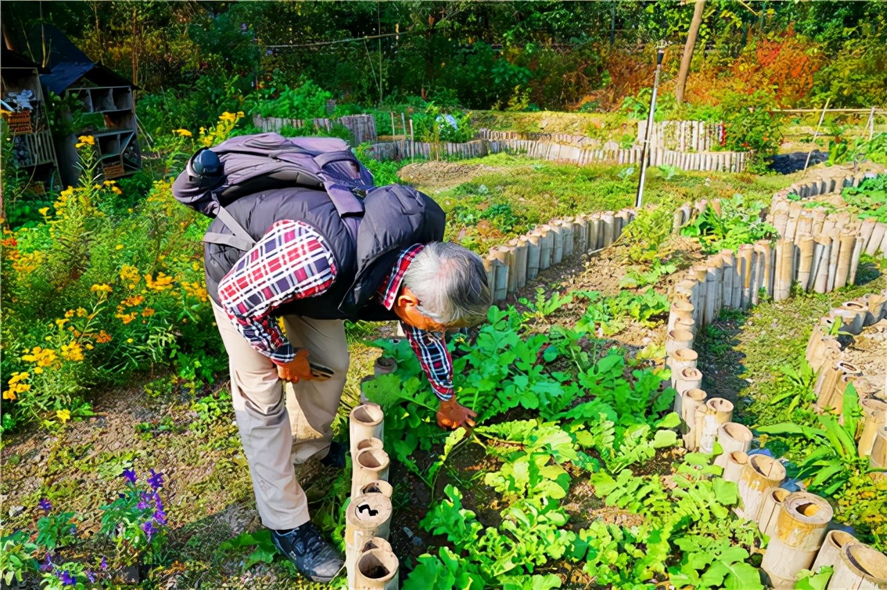 鑾共灞辨繁绉嬫父,娣辩涓庤帿骞插北鏃呮父
