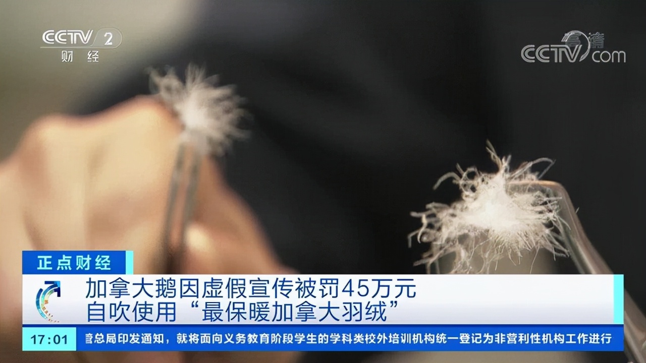 加拿大鹅品牌用的是鹅绒还是鸭绒,加拿大鹅羽绒服为什么都是鸭绒