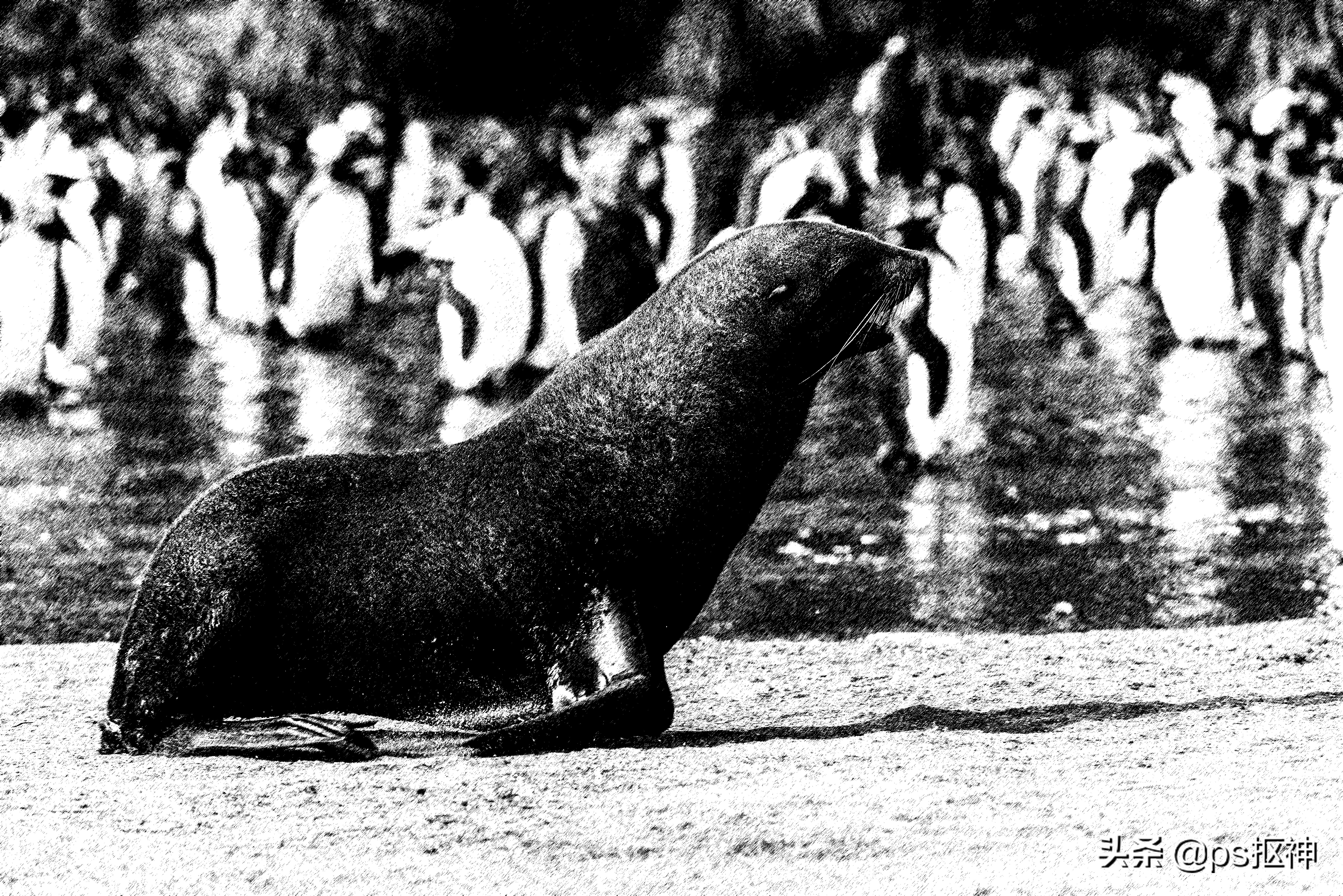 ps制作素描效果最好的方法,ps教程素描人像效果