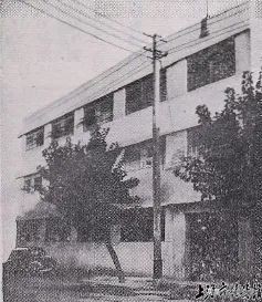 这双红白色国民球鞋，是否也曾伴你走过青春岁月？