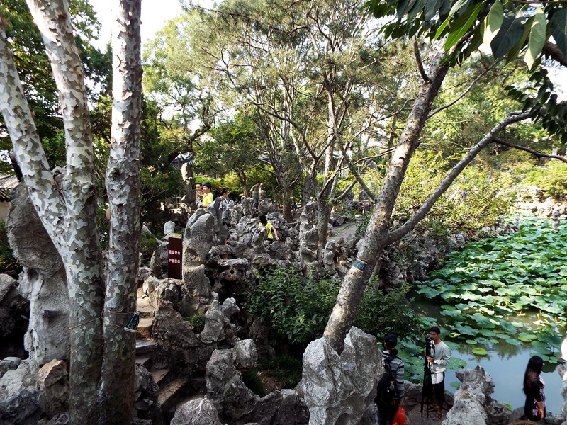 苏州古典园林中的狮子林,在苏州有哪些值得去的景点