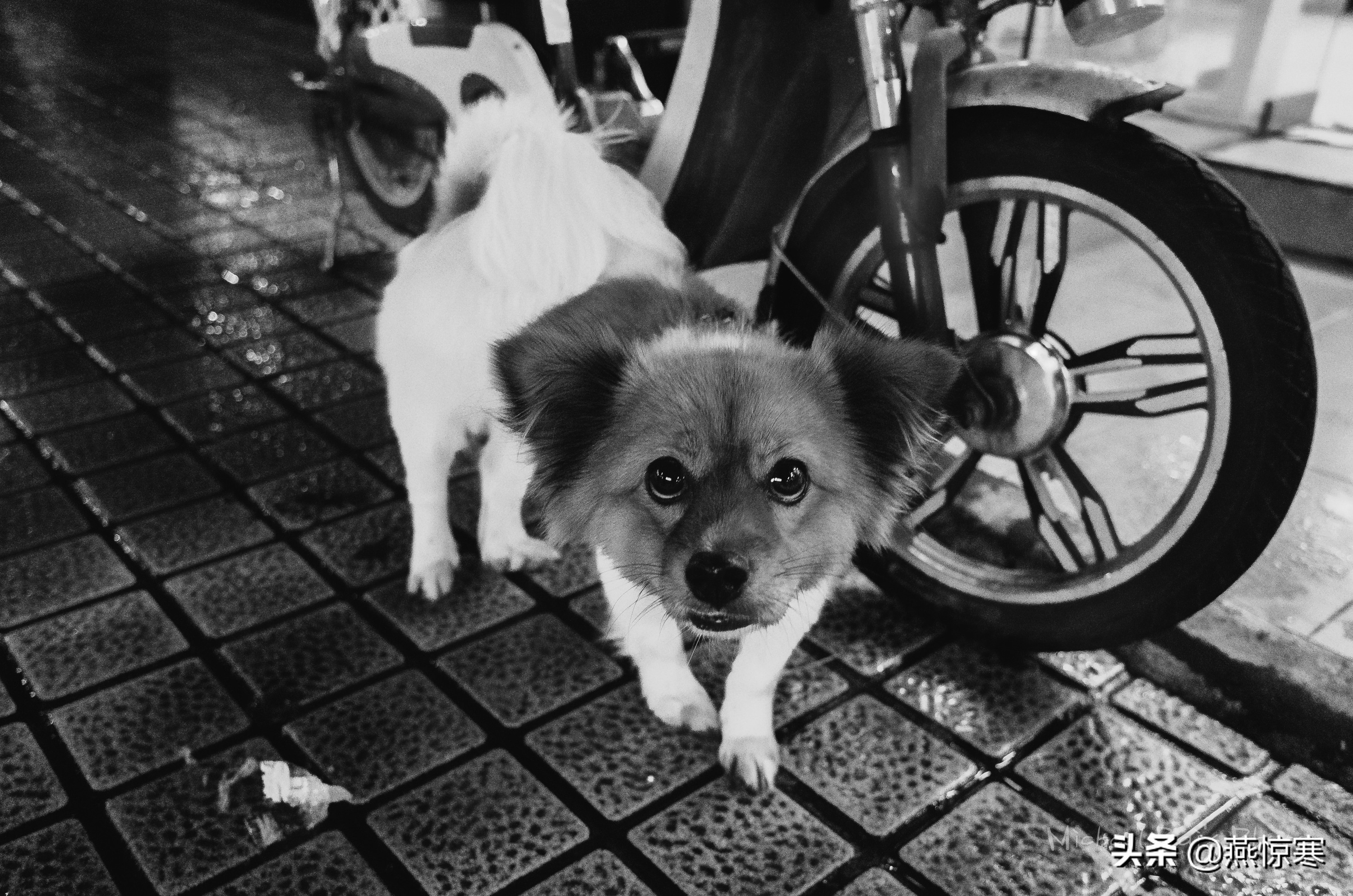 宾得理光镜头通用吗,宾得理光手动镜头推荐