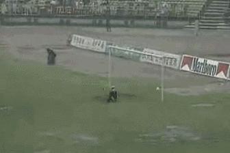 中国足球运动员为什么叫快马,中国足球史上最有名的快马