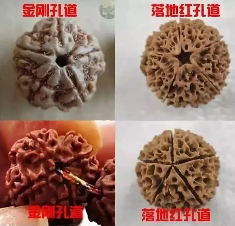 5瓣和6瓣金刚哪个值钱,金刚几瓣的最有价值