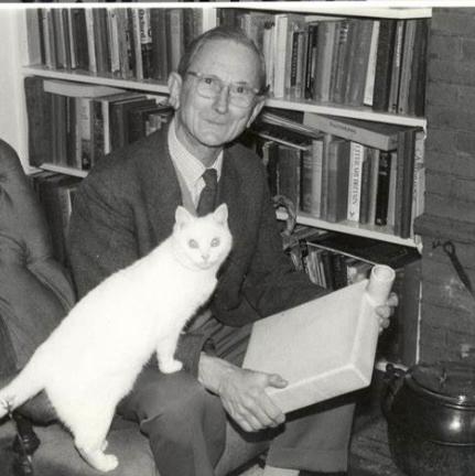 盘尼西林研发史,二战盘尼西林作用功效