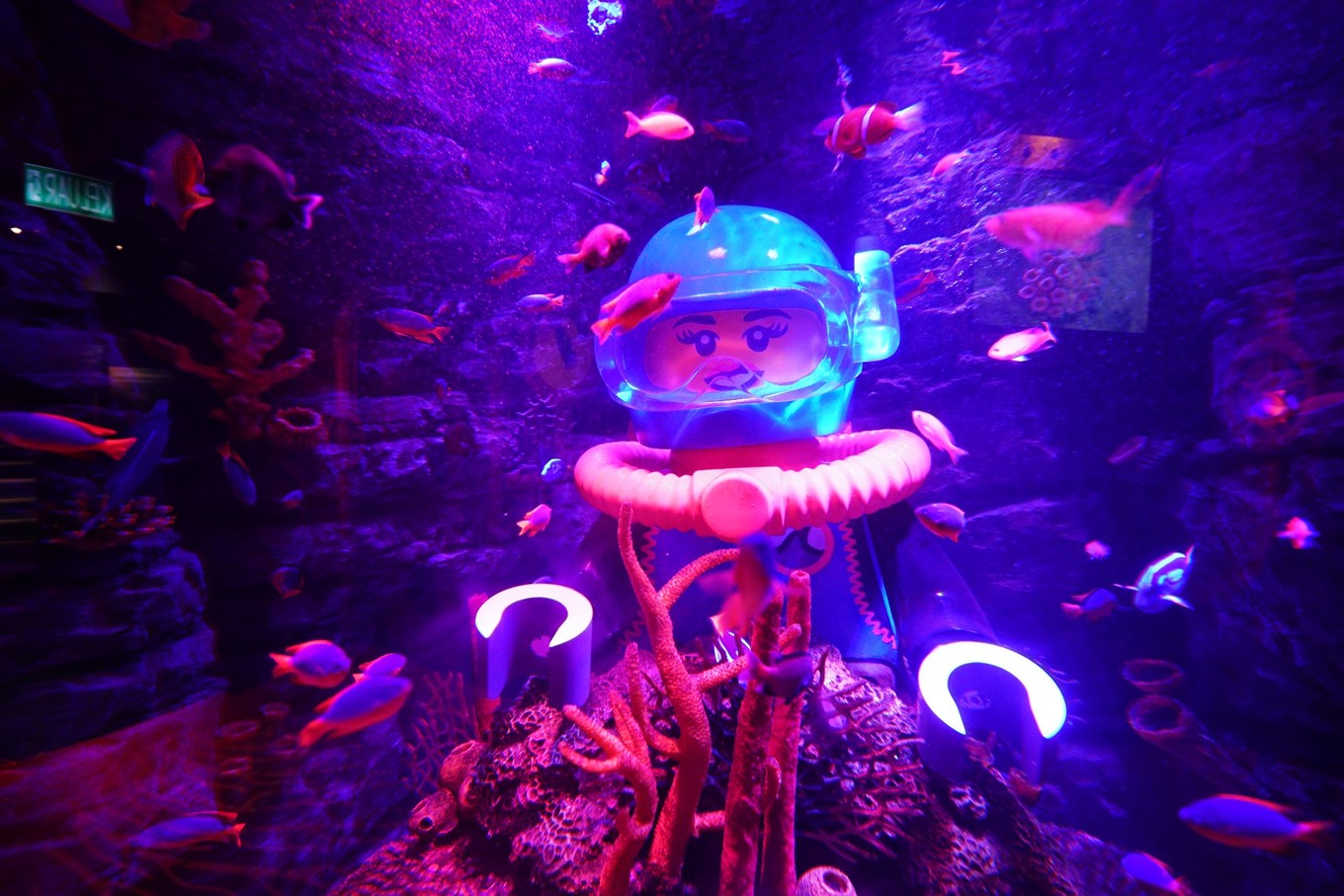 马来西亚西马旅游最佳线路图,马来西亚旅游怎么玩