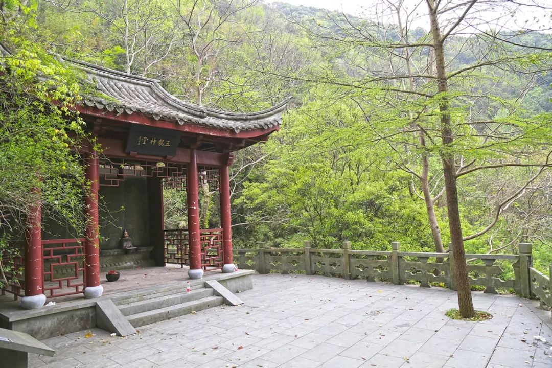 宁波避暑耍水胜地,宁波森林氧吧景区