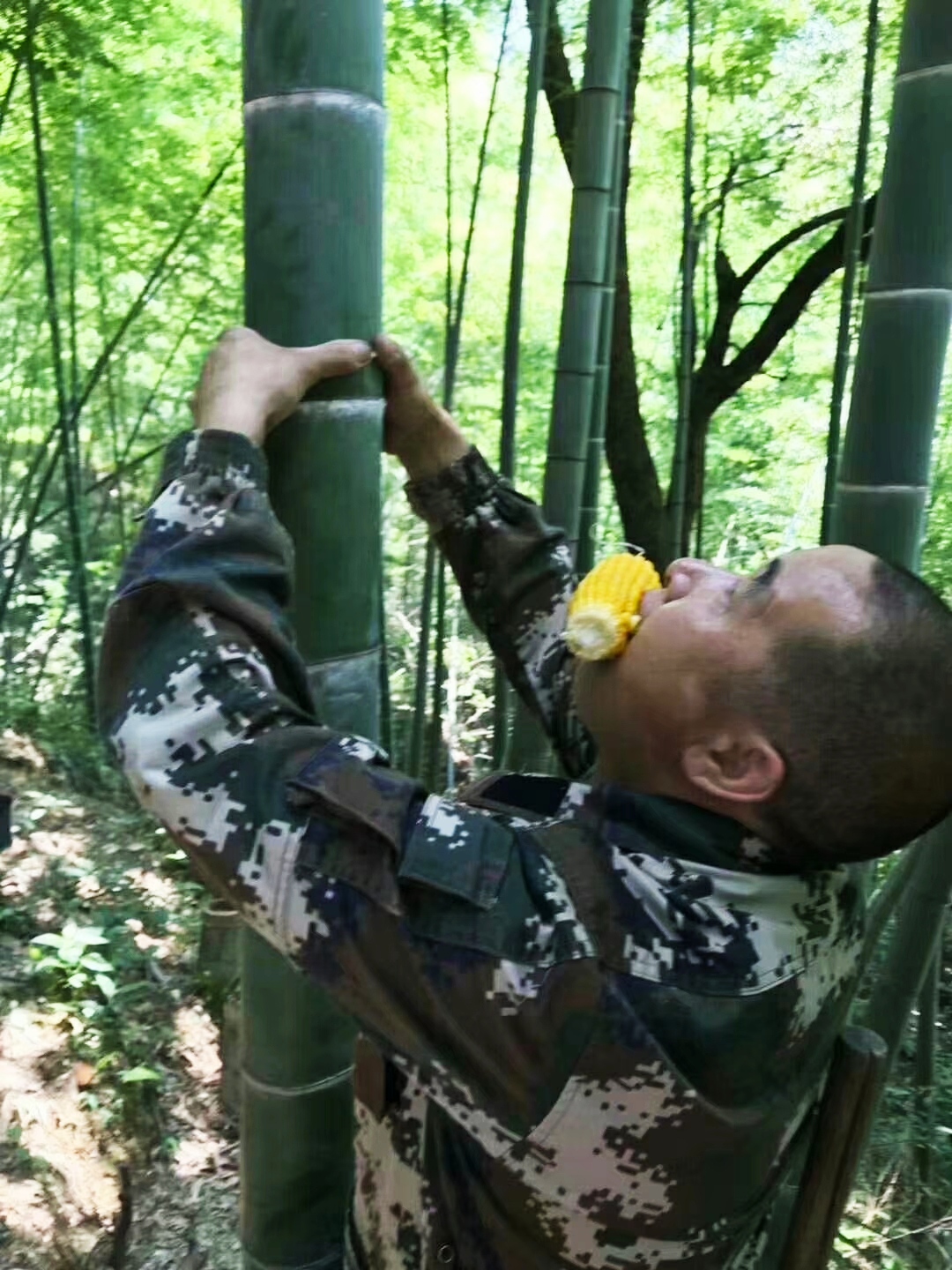 润之竹竹筒酒正宗竹叶青,竹叶青酒竹筒酒怎么制作的