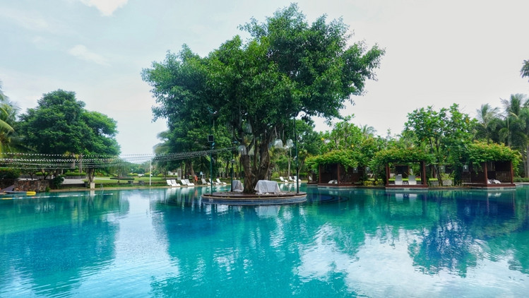 三亚海棠湾生活避坑指南 (三亚攻略海棠湾)