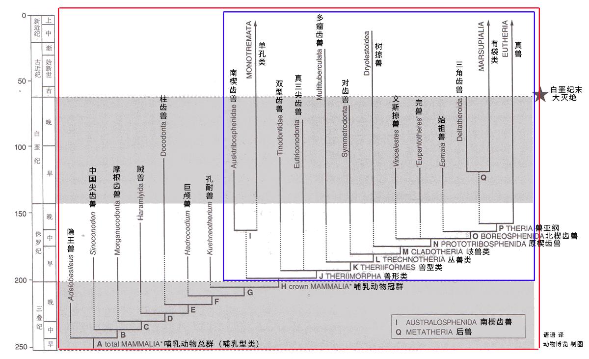 蜥蜴是怎么进化成哺乳动物,蜥蜴是怎么进化的