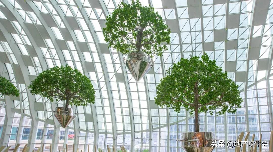 光环购物公园开业了！金州商圈杀入重庆北商圈大战