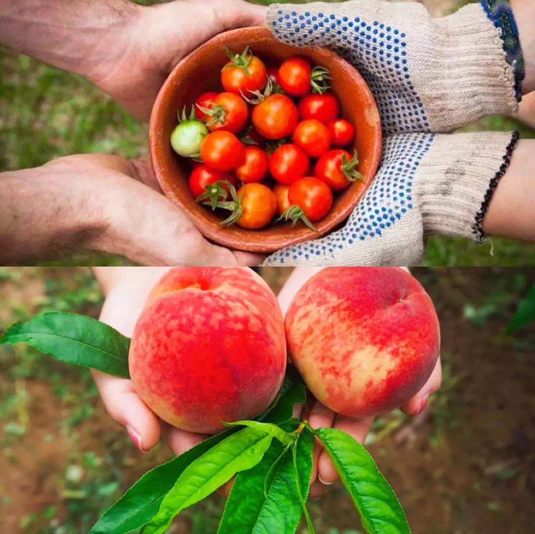 西安秦岭温泉度假山庄,西安桃花源休闲山庄