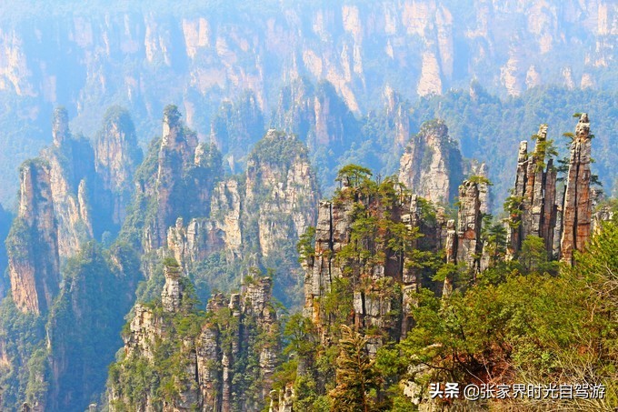 张家界森林公园亲子游攻略,张家界旅游攻略现在张家界气温