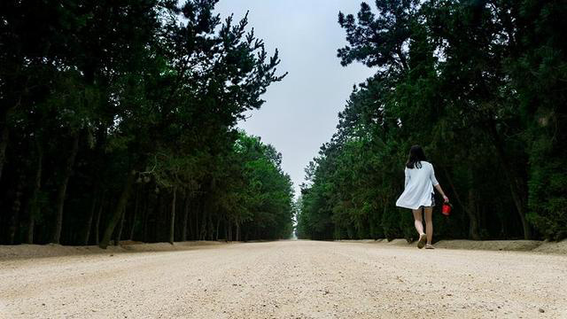 日照文旅,日照旅游攻略