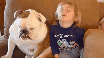 米拉外教:三分讥笑,三分薄凉,四分漫不经心~你的表情包更新了