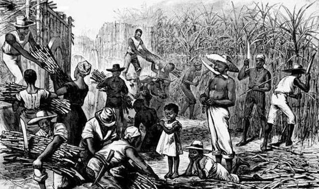 西班牙人表示：美洲土著太可怜了，我们还是奴役非洲黑人吧