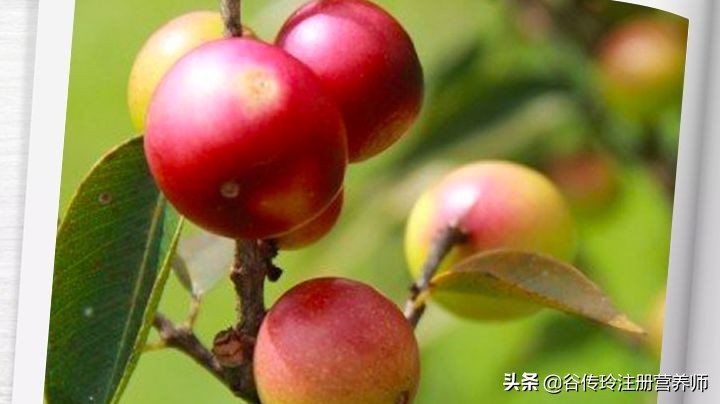 双11必买清单食物,双11推荐购买的食物