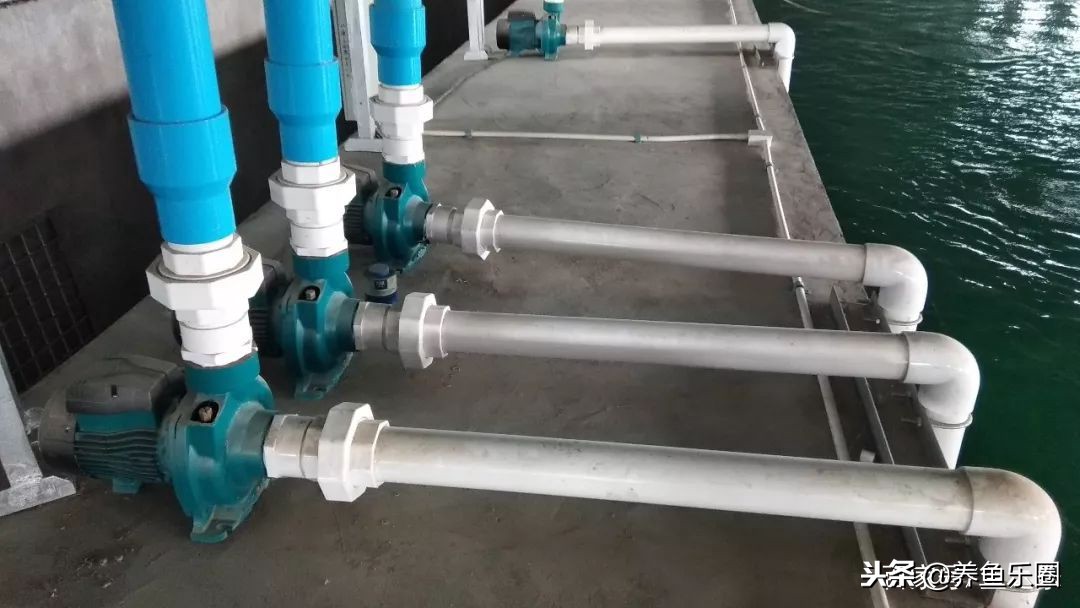 这位土豪家的渔场,光滤材就花了500多万,你确定不要见识一下?