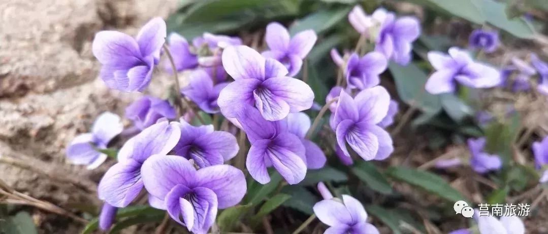 自由行吃喝攻略,旅行攻略之吃喝玩乐