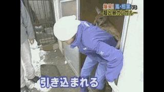 中国偶像团体解散的有哪些,偶像团体解散粉丝哭