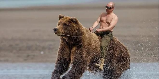 别惹我普京新传心得体会,别惹我普京新传完整版