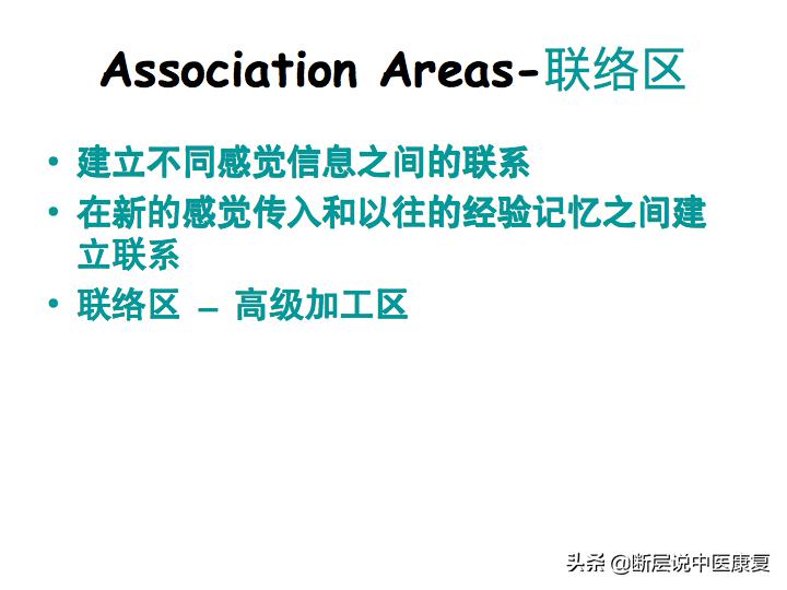 中枢神经系统断层解剖讲解,中枢神经3d解剖动画