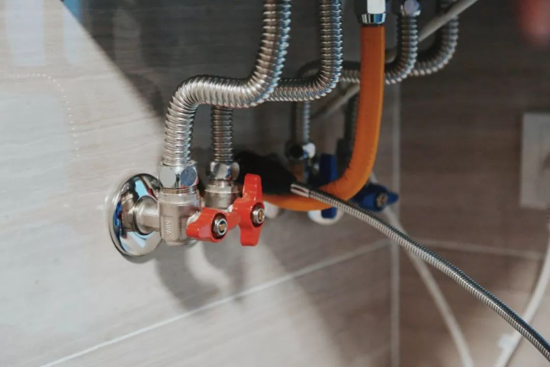 走，带你去看黄家湖畔的“蓝马甲”