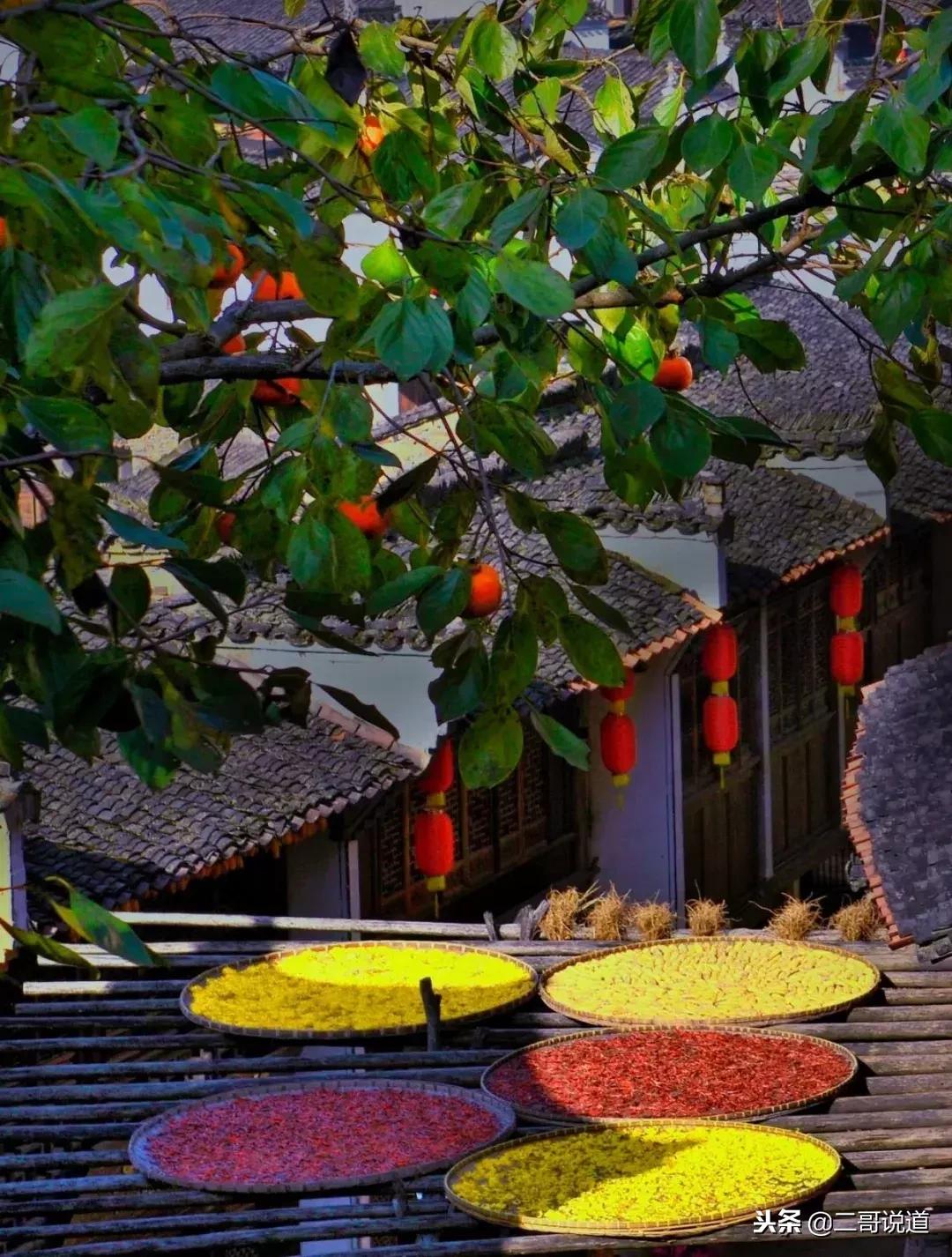 婺源篁岭油菜花摄影,婺源的秋天简直把摄影师逼疯